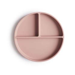 SILICONE PLATE
